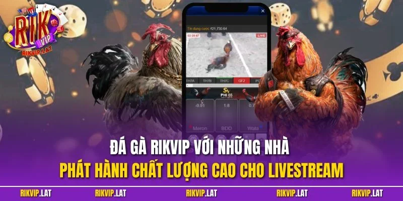 Đá gà RIKVIP với những nhà phát hành chất lượng cao cho livestream